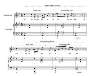 SCHUBERT ANALYSIS