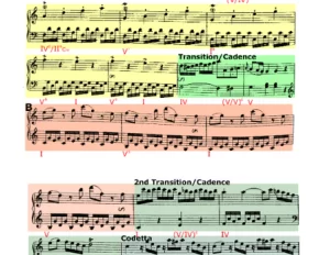 Sonata in C Major Hob XVI.1 - First Movement - Haydn