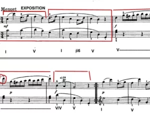 Haydn Sonata in C Major Hob XVI.7 - Divertimento