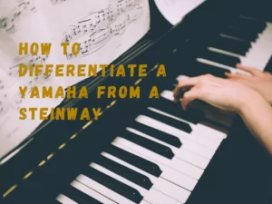 How to differentiate between a yamaha piano and a piano steinway