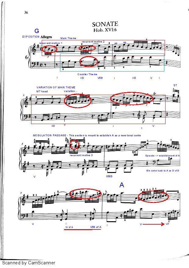 Haydn Sonata XVI:6 - EXPOSITION ANALYSIS
