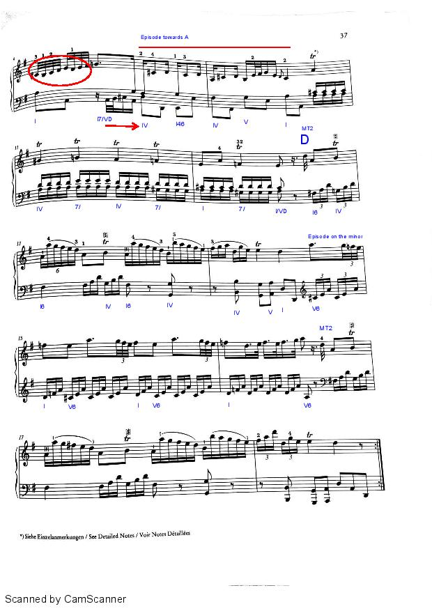 Haydn Sonata XVI:6 - EXPOSITION ANALYSIS
