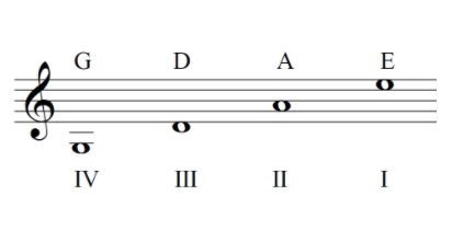 violin
