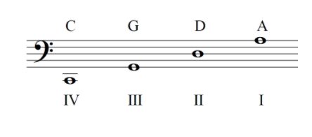 cello