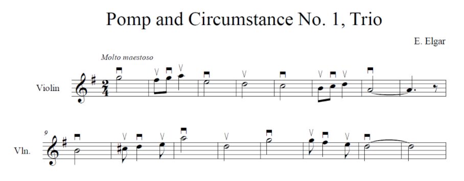 Strings Section Orchestra Instruments
