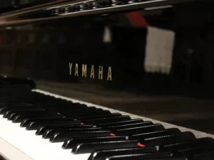 Musical Composition - Four options of continuation