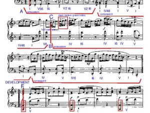 Haydn Sonata Hob. XVI:9 in F - Allegro