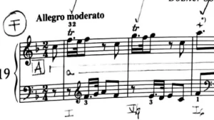 Haydn Sonata in F Hob. XVIF3 Bozner