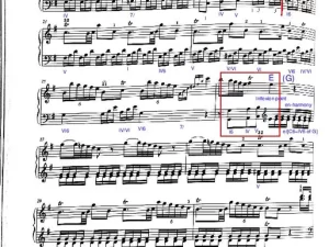Haydn Sonata XVI6 - 1st movement (development and re-exposition)