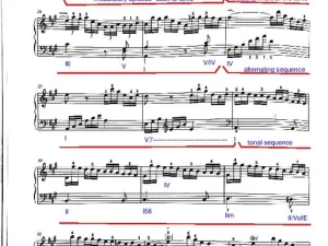 Haydn Piano Sonata Hob. XVI12 - Andante - Development and Re-exposition
