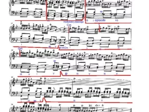 Haydn Sonata XVI:6 - Analysis
