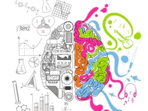 The right and left brain hemispheres in the musical creative process