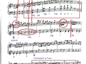 Haydn Piano Sonata Hob. XVI:6 - Minuet and Trio