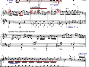 Haydn Sonata XVI:4 - Moderato