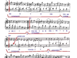 Haydn Hob. XVI12 - Second Movement