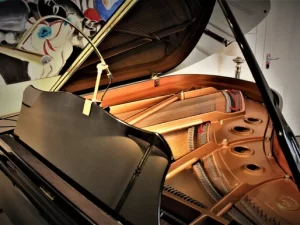 Eating piano scores by Juan Rezzuto