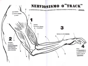 "Escence of the pianistic execution" , according to Vicente Scaramuzza. Ch. 1 S. 1
