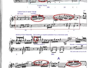 Haydn Sonata XVI:6 - EXPOSITION ANALYSIS