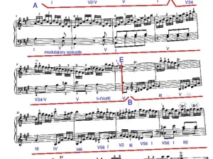 Haydn Piano Sonata Hob. XVI12 - Andante - Exposition