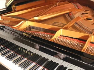 Tonal Families: Dominant and Subdominant Families - Functions 2 & 3