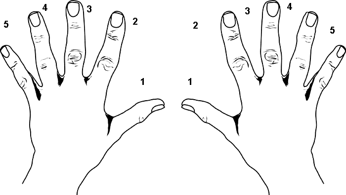 the importance of articulation and fingering