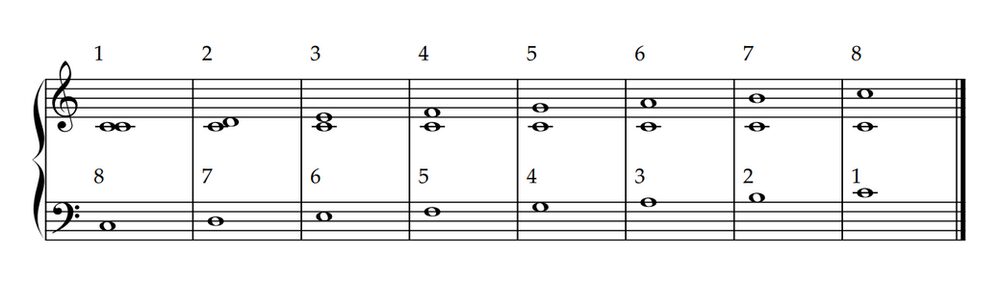 what is counterpoint
