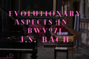 Evolutionary Aspects in the Italian Concerto BWV 971 by J.S. Bach