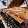 Piano Lessons