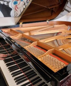 Piano Lessons
