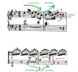haydn sonata analysis