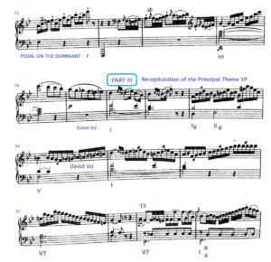 haydn sonata analysis