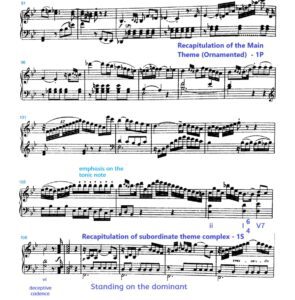 haydn sonata analysis