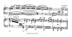 haydn sonata analysis