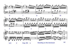 Haydn Piano Sonata in E Minor Analysis