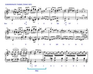 Haydn Piano Sonata in E Minor Analysis