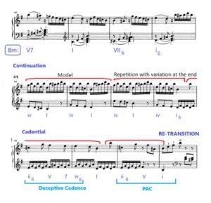 Haydn Piano Sonata in E Minor Analysis
