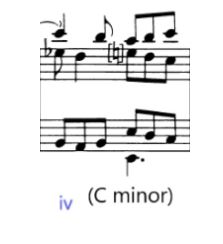 Haydn Piano Sonata in E Minor Analysis