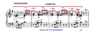 Haydn Piano Sonata in E Minor Analysis